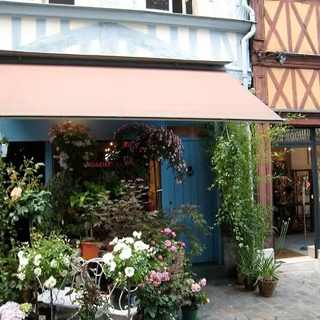 Chambres D'hotes Au Micocoulier Bed & Breakfast Rouen